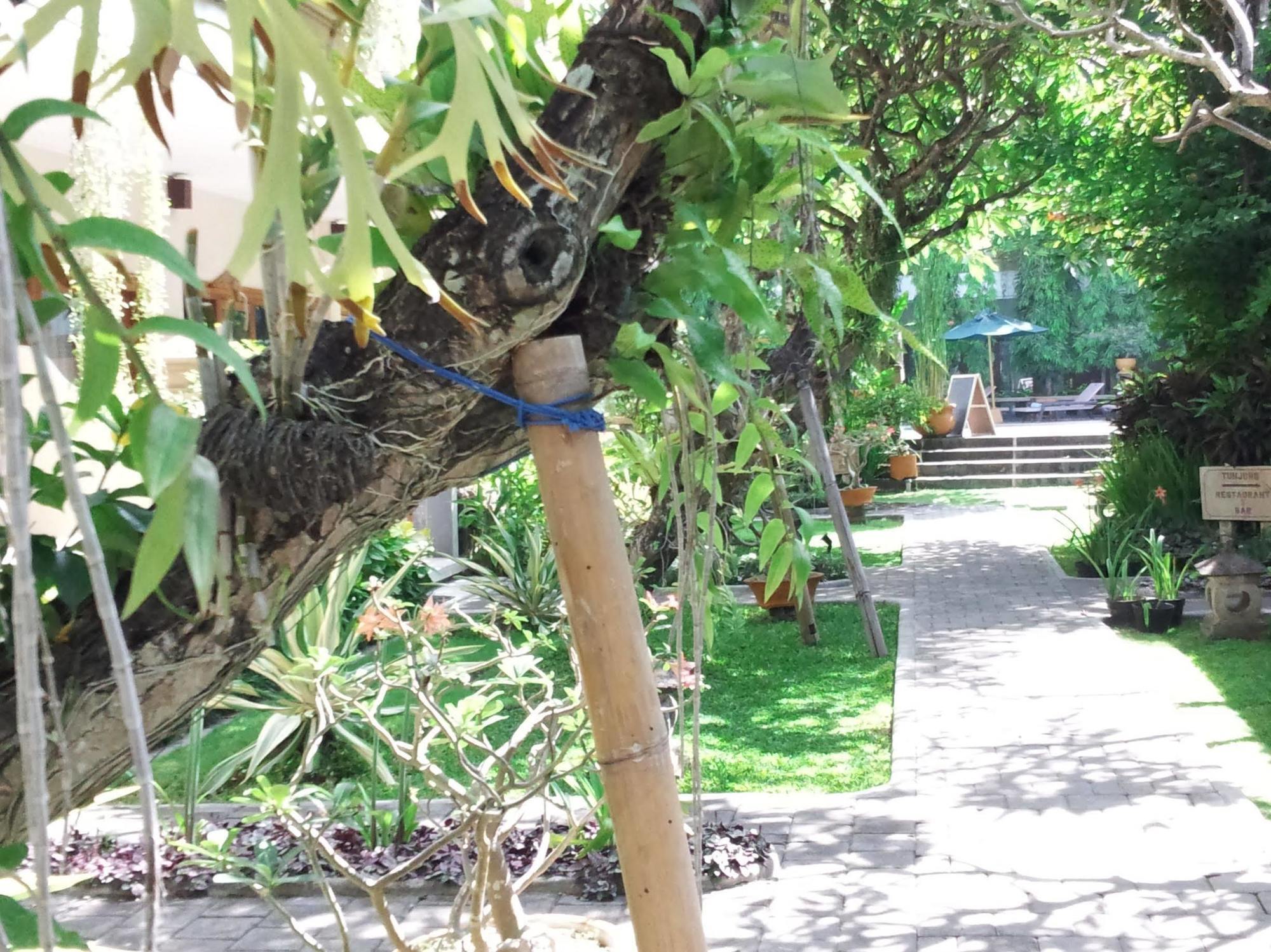 Mentari Sanur Hotel Exterior photo